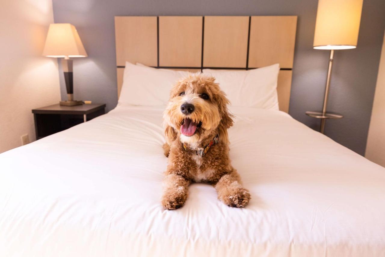 Sonesta Simply Suites Chicago Libertyville Dış mekan fotoğraf